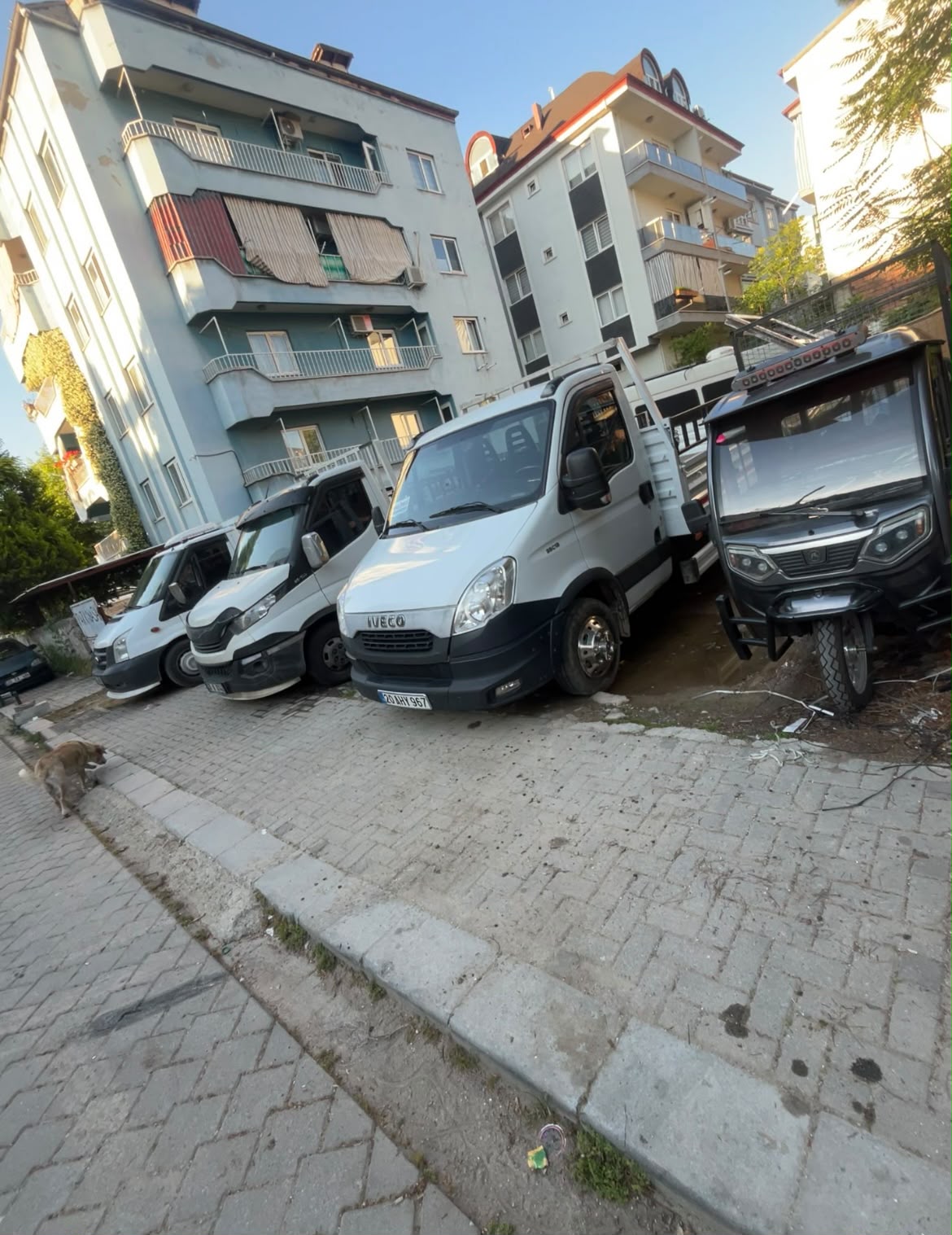 Mert Nakliyat araçları